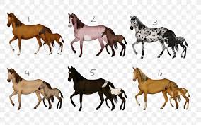 Mustang horse horses facts wild mustangs wallpapers animalfactsencyclopedia animal stallion bay information. Mustang Foal Mare American Paint Horse Colt Png 900x563px Mustang American Paint Horse Animal Figure Bay