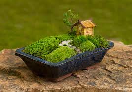 It doesn't need so much work and maintenance either, so you will have time to sit down. Create A Relaxing Zen Space In Your Backyard Sonoma Magazine