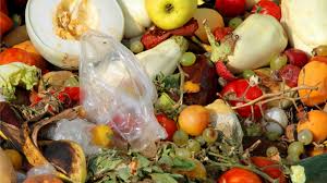 Blossom end rot on squash. How A Little Creativity Takes Food Waste Off The Menu Tvo Org
