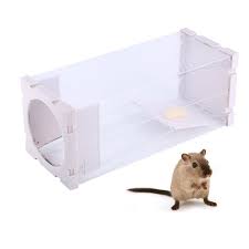 Homemade humane rat trap constructed from pvc pipe, particle board, sheetmetal, wood, hinge, and hardware. Ccdes Humane Rat Trap Humane Rat Trap Cage Live Animal Pest Rodent Mice Mouse Control Bait Catch Bait Catch Walmart Com Walmart Com