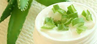 So macht man eine creme mit emulsan als emulgator. So Mixt Du Dir Eine Aloe Vera Creme Selbst Pflanzliche Behandlung Psoriasis Netz