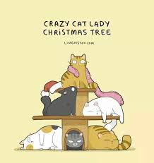 Pin By Kamila Leonczyk On Animals Pets Cats Crazy Cats Cat Calendar