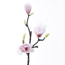 International silk flowers is the highly rated artificial plant supplier 3d Printing Artificial Magnolia Flowers Silk Plastic For Home Wedding Office Artificial Flower Buy At A Low Prices On Joom E Commerce Platform