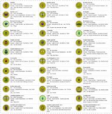Image Insectes Blog De Animalcrossing Newleaf78 Skyrock Com Passage D Animaux Insectes Animal Crossing Astuce