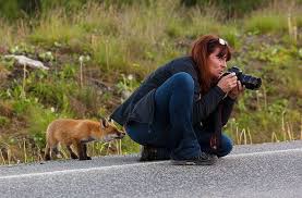 Photographies Animalieres Insolites Wikilinks Photographe Animalier Photographie Animaliere Animalier
