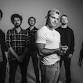 Whiskey Friends: The Morgan Wallen Experience
