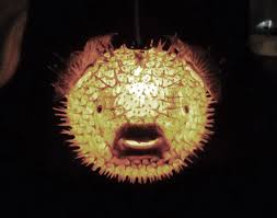 Big 14 Hanging Puffer Fish Light Real Blowfish Lamp Etsy Puffer Fish Tiki Bar Puffer