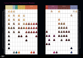 Kadus Professional Permanent Shades June 2014 In 2019