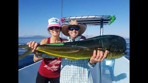 We did not find results for: Fly Fishing Sea Of Cortez