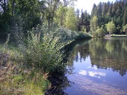 Driving distances, maps and journey times are currently provided by google mapping systems. Coeur D Alene Lake The Good The Bad And The Ugly Spokane Riverkeeper