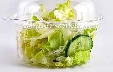 Disposable Pet Vegetable Plastic Fruit Container with Lid ...