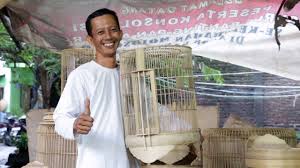 Cocok untuk kandang kacer, kenari, trotolan murai dan jalak. 53 Gokil Cara Membuat Sangkar Burung