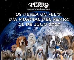 Se celebra el día mundial del perro. 21 De Julio Dia Mundial Del Perro Elmundodelperro Net
