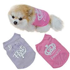 Amazon Com Ooeoo Fashion Puppy Summer Shirt Small Dog Cat
