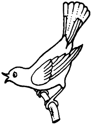 Black And White Bird Pictures Bird Clipart Black And White Google Search Coloring Pages Black And White Owl Line Art Drawings