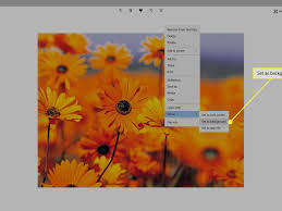 Upload any picture (we support we have presets for all major phone vendors and models (nokia, samsung, sony ericsson and others), with all major templates (casino bonus. How Do I Change The Wallpaper On My Computer Or Phone