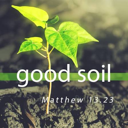 Sunday Preview: Good Soil | Cornerstone Church of Christ