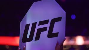 UFC 319 -- Dricus du Plessis vs. Khamzat Chimaev: Fight card, date, odds, rumors, start time, complete guide