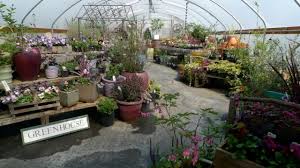 Maybe you would like to learn more about one of these? Red Ridge Farms Portland Monthly