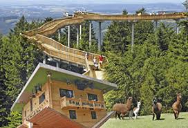 Der waldwipfelweg zeigt die wunder welt wald mit gigantische rutschen und natürlich mit einer beeindruckenden aussicht. Ihr Urlaub Im Naturpark Bayerischer Wald