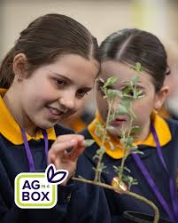 NSW Geography Teachers