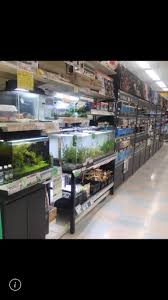 店舗紹介 | 鹿児島ペット専門店｜株式会社アクア 株式会社 アクア