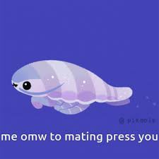 Me Omw To Mating Press You Isopod GIF - Me Omw To Mating Press You Isopod  Insect - Discover & Share GIFs