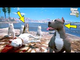 Yavru Pitbull Abisi Kaos U Vahsi Cakal Surusunden Kurtariyor Gta 5 Youtube