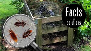 How do you spell.? don't deny it—you've heard it in your own voice at some time or another. A Water Bug Identification Guide With Pictures Cockroach Facts