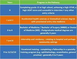 How Long Does It Take To Become A Doctor? - My Health Career