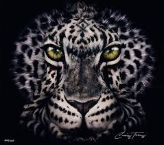 Gallery Park West Gallery Body Art Painting Body Painting Craig Tracy