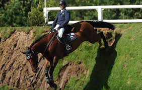 Equation, rules, preparation of journal and ledger, depreciation accounting and policy, preparation of final accounts of noncorporate entities, preparation of final accounts of a joint stock company and accounting. Hickstead Derby Bank How Not To Do It Horse Hound