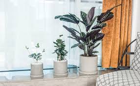 Succulent plant planter pot mold concrete cement plaster molds silicone ice shot glass molds flower vase home decoration planter modern ceramic bottle 2pcs/set indoor & outdoor cement. Ekirlin Indoor Concrete Flower Pot Cement Pots Indoor Pot Succulents Cactus Container Amazon De Garden
