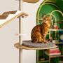 Profile Picture of Maya Cat Tree Boxed Cardboard Scratcher Wave (055.0150) - Omlet (@omlet.us) on Google