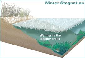 seasonal changes in ponds and lakes vertex water features