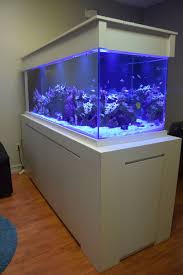 Pin By Francisco De La Cruz On House Fish Tank Wall Aquarium Fish Wall Aquarium