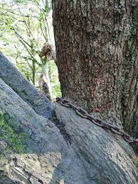 Let S Talk About Hex The Legend Of The Towers Mission Theme Park