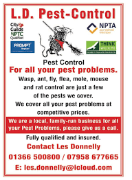 How to start a pest control business. L D Pest Control Home Facebook