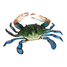 Hang these plastic crab ornaments with some fishnet and seashells, or place them with other beach decor. 92 Crab Decor Ideas Crab Decor Crab Beachfront Decor