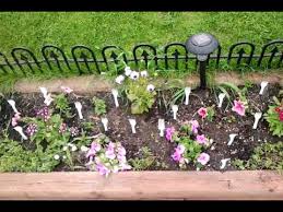 Plant a few of these throughout the garden. How To Keep Cats Out Of Your Garden Youtube