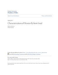 Characterization of Hessian fly from Israel