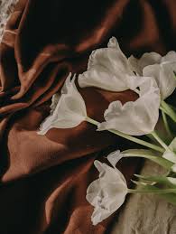 Tons of awesome aesthetic vintage pc wallpapers to download for free. Brown Aesthetic Pictures Download Free Images On Unsplash