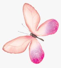 Red butterfly illustration, butterfly, flying butterflies background, animals, color png. Butterfly Transparency And Translucency Pink Butterfly Watercolor Backgrounds Hd Png Download Transparent Png Image Pngitem