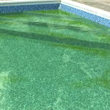 These chemicals are strong disinfectants that keep the if you are going to be swimming in a pool, or have children that are swimming in a chlorinated pool, there are a few simple things you can do to mitigate. How To Maintain A Pool Lowe S
