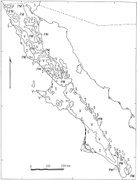 Pt pilar mas utama pt delta baja masa pt haka pt adhi karya pt pembangunan perumahan (pp) pt pembangunan perumahan (pp) pt pembangunan perumahan (pp) pt tata mulia pt wijaya karya. Beach Sands From Baja California Peninsula Mexico Sciencedirect