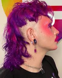 Arctic Fox Hair Color