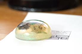 Check spelling or type a new query. Diy Flower Paperweight Layering Resin Tutorial Resin Crafts Blog By Eti