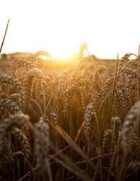 Obituary information for Robert L. Devilbiss