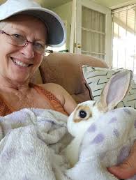 Is oxbow oaten hay causing small dark poops?