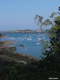 Cancale In Bretagne Cancale Paysage France Bretagne